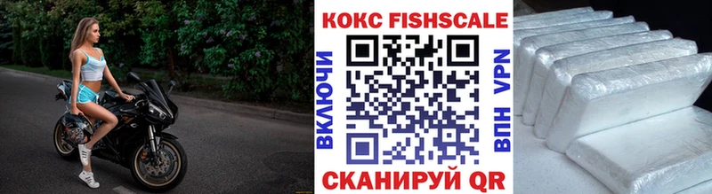 кракен   Новороссийск  COCAIN FishScale  где можно купить наркотик 
