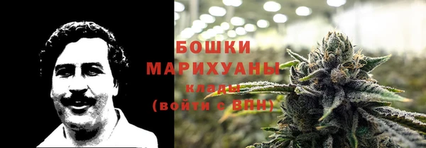 винт Горно-Алтайск