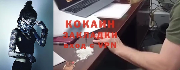 сатива Горнозаводск