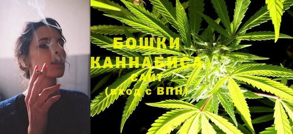 винт Горно-Алтайск
