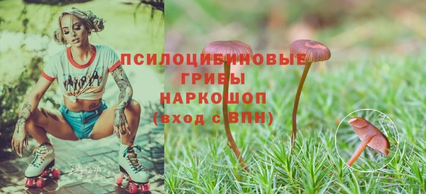 экстази Вяземский