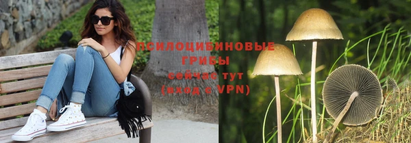 кристаллы Горняк